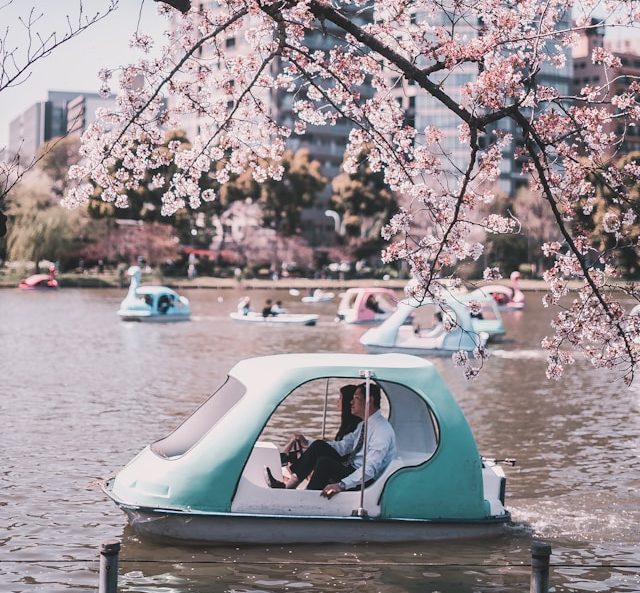 Ueno Park, Must-Visit Tourist Attractions in Tokyo