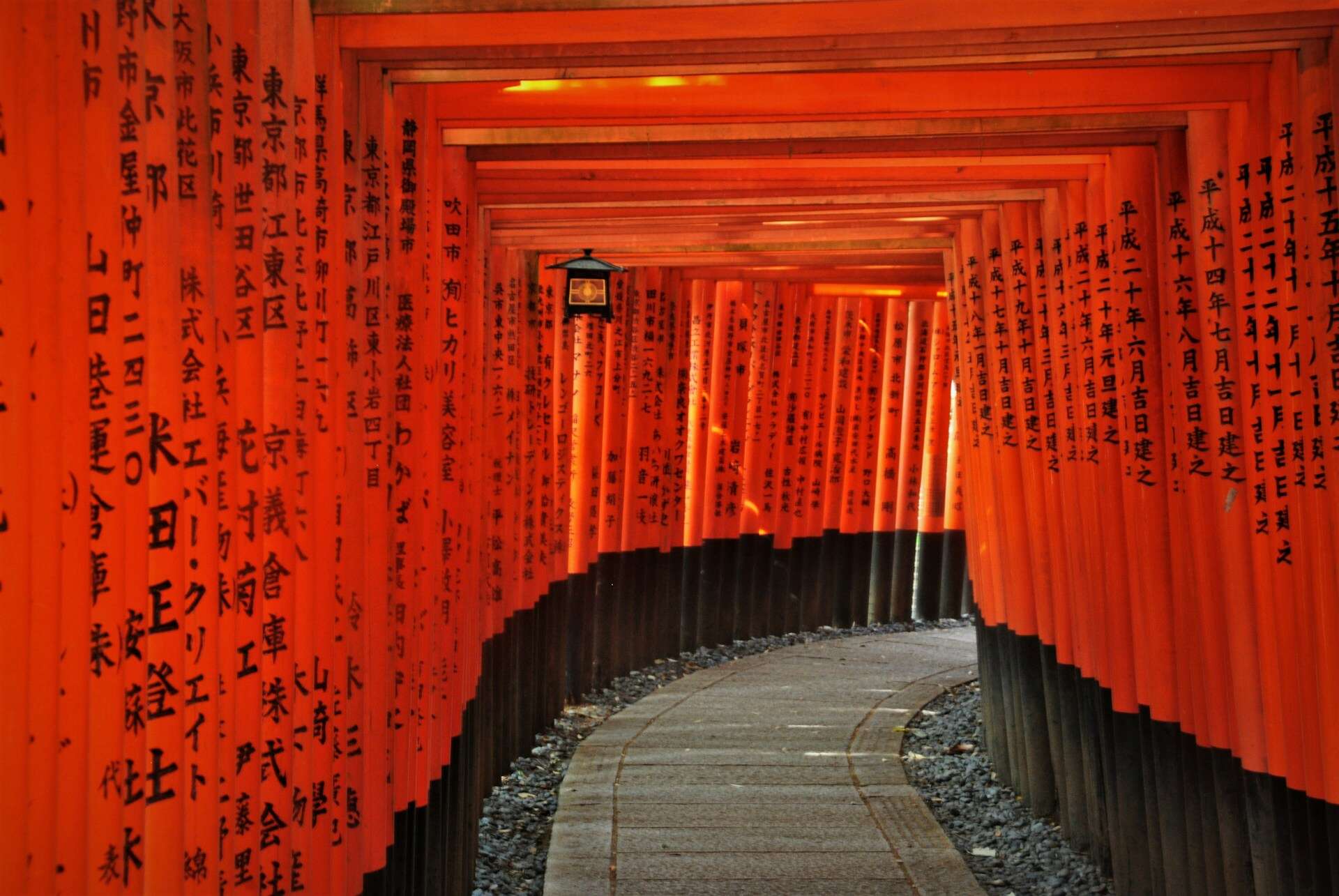 A tunnel of torii gates in Fushimi Inari Shrine in Kyoto, Japan.